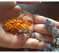 100% Raw Natural Bee Pollen 500g Granules, New Harvested, Pure Organic Bee Pollen, Suitable for Vegetarians