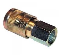 100 Series Female Size: 1/2" BSP Taper