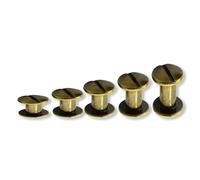 100 Sets Chicago Screws,5 Size Leather Screw Rivets, Flat Head Screw Copper Rivets Buttons Chicago Binding Screws Leather Rivets Kit with Storage Box for Leather, Crafts, Belts, Handbags Bronze