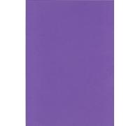 100 sheets 160gsm A4 coloured card Pick from 24 colours cardmaking craft printer
