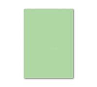 100 Sheets Light Green Coloured Paper A4 70gsm Craft Paper Construction Paper (Light Green)