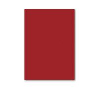100 Sheets Red Coloured Paper A4 70gsm Craft Paper Construction Paper (red)