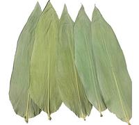 100 Sheets Zongye Large Zongye Wild Wild Bamboo Leaves Zongzi Material
