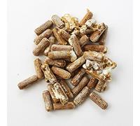 100 Shiitake 100 Mushroom Plug Spawn Edible Mycelium Plugs