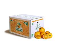 100% Sicilian and 100% Organic Oranges - Highest Freshness and Sustainability, Oranges Picked Directly from Our Trees - 7 kg