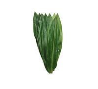100 Small Fresh Sheets Vacuum Packed Bamboo Leaves，Natural Wild Bamboo Leaf for Japanese Sushi Cuisine Grilled Meat Tableware Decoration Materials - S