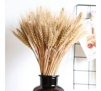 100 Stems 17.72 Inches Dried Wheat Flowers Sheave | Natural Wheat Stalks Bundle Fall Arrangement | Decorating Natural Stalks Stems Sheaves For DIYs Craft, Home Wedding, Not Easy To Break