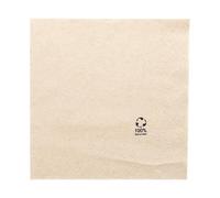 100 Units - Ecolabel 2-Layer Napkins 18 g/m2 30 x 30 cm Natural Tissue Recycled