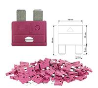 100 x 10 A Car Blade Fuse 6-32 V