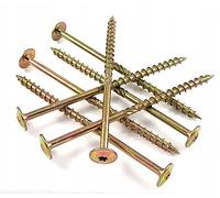 100 x construction screws 6 mm x 220 mm, T30 wood screws