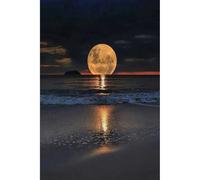 1000(38x26cm)-piece adult jigsaw puzzle, moonlit tide sound moon puzzle, intellectual challenge puzzle toy for teenagers and children