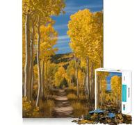 1000 Adult Pieces Jigsaw Puzzle Autumn Aspen Trees Along A Path Clean Edge Game Cognitive Fun Play Slow Play Fun Festive Leisure Gift (50x75cm)