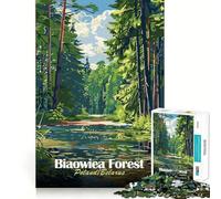 1000 Adult Pieces Jigsaw Puzzle Bialowieza Forest Poland Belarus Perfect Edge Play Cognitive Play Gift Idle Play Game Birthday Activity (38x52cm)