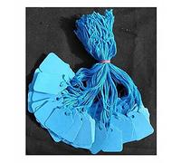 1000 Coloured Kraft Strung String Tags Swing Price Ticket Jewellery Tie On Labels (Blue, 32mm X 22mm)