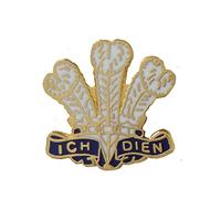 1000 Flags Wales Welsh White Feathers Ich Dien Pin Badge
