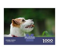 1000 Jigsaw Puzzle Jack Russell Terrier Jigsaw for Adults Brain Teaser Game Perfect Decoration Unique Birthday And Xmas Gifts 52x38cm/1000pcs