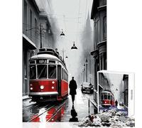 1000 Jigsaw Puzzle Street Art Istanbul Jigsaws for Adults Puzzle Stress Reliever Educational Challenge Challenging Game Gifts (50x75cm)