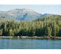 1000 pcs Fun Jigsaw Puzzle for Adults Cruising Misty Fiords National Monument Impossible Hard Difficult Puzzles for Family Challenging Family Activity
