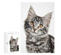 1000 PCS Jigsaw Adorable Tabby Kitten Close-Up Jigsaws for Adults Puzzle But Fun And Humorous Challenging To Complete Unique Birthday And Xmas Gifts 1000 PCS
