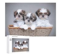 1000 PCS Jigsaw Puzzles for Adults Teenagerss Shih Tzu Puppies Jigsaw Hands-on Game Hand Speed Race Unique Gifts for Birthday And Christmas 1000 PCS