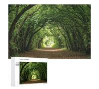 1000 PCS Jigsaw Puzzles for Teenagerss Green Forest Tunnel Path Adult Puzzles Hands-on Game Hand Speed Race Fun at Home Activities, 1000 PCS