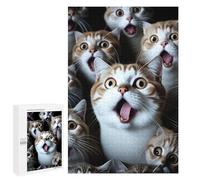 1000 PCS Jigsaw Puzzles for Teenagerss Surprised Cats Compilation-3 Puzzle for Adults Relaxing Games Improve Memory Fun Activities at Home 1000 PCS