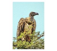 1000 PCS Jigsaw Puzzles- Vulture Teenagers Puzzles Relaxing Games Improve Memory Deal As Gifts for The Whole Family 1000 PCS