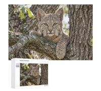 1000 PCS Jigsaws Adults Puzzles Bobcat in A Tree Jigsaws for Adults Relaxing Games Difficult Challenge Difficult And Challenge 1000 PCS