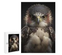 1000 PCS Jigsaws Adults Puzzles Hawk Looking At The Camera Adult Puzzles Relaxing Games Precision Cutting Unique Gifts for Birthday And Christmas 1000 PCS