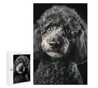 1000 PCS Jigsaws for Adults Fluffy Grey Poodle Portrait Jigsaw for Teenagers Improve Memory Every Piece Is Unique - Toys Educational Games 1000 PCS