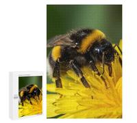 1000 PCS Jigsaws for Adults Puzzle Bumblebee on Yellow Flower Puzzles for Adults Family Games Staycation Kill Time Challenging To Complete 1000 PCS