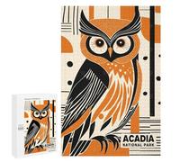 1000 PCS Puzzle For Adults Acadia National Park Jigsaws for Adults Puzzle Improve Memory Wishlist with Santa Claus Stress Reduction Gifts 1000 PCS