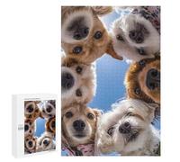 1000 PCS Puzzle For Adults Circle of Curious Dogs Jigsaws for Adults Puzzle Enhance Memory Fun Activities at Home for Is Ideal As A Gift 1000 PCS