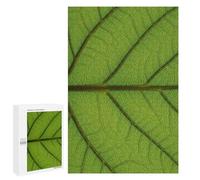 1000 PCS Puzzle for Adults Detailed Green Leaf Texture Puzzle For Teenagers Improve Memory Every Piece Is Unique - Learning Educational Toys 1000 PCS