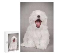 1000 PCS Puzzle for Adults Yawning Maltese Puppy Adult Jigsaw Puzzle Relaxing Games Birthday Present Unique Birthday And Xmas Gifts 1000 PCS
