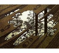 1000 Pcs Puzzles, M C Eschers Art Geometrys, Abstract Art Posters Jigsaw, Memory Games For Adults Family Stress Relief Toys Wy272Zq