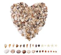 1000 PCS Tiny Sea Shells Small Starfish Mixed, Ocean Beach Spiral Seashells for Crafting, Fish Tank and Vase Filler, Beach Theme Party, Wedding Decor, DIY Craft Supplies