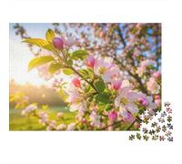 1000-Piece Adult Jigsaw Puzzle, Apple Blossoms in Spring Sunlight, 52x38cm/1000pcs, A Quiet Indoor Pastime at Home; White Cardboard for Steady Handling