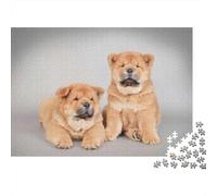 1000-Piece Adult Jigsaw Puzzle, Chow Chow Puppies, 52x38cm/1000pcs, for Progress Whenever Time Allows; White Card Pieces for A Neat Table