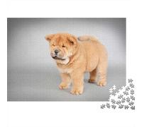 1000-Piece Adult Jigsaw Puzzle, Chow Chow Puppy, 52x38cm/1000pcs; Easy to Continue on Another Evening; Low-dust White Cardboard Pieces