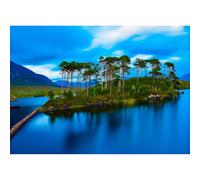 1000-piece Adult Puzzle: Ireland Connemara Lake Island Pine Tree Puzzle Game - Home Decor Gift 52x38cm