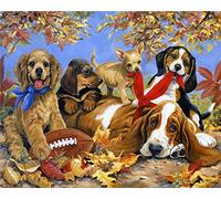 1000 Piece Animal Jigsaw Puzzles For Adults - Cats Dogs Cute Novelty Animal Jigsaw Puzzle 1000pc (Dogs & Puppies Puzzle)