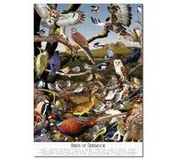 1000 Piece Bird Jigsaw Puzzle for Adults | Dartmoor National Park Nature Puzzle | Wildlife & Devon Gift | Art Collage-Inspired Birds Puzzle for Nature Lovers |1000 Piece Jigsaw Puzzle