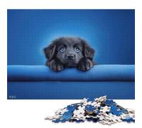 1000 Piece Black Puppy with Blue Eyes Puzzles for Adults & Paper Puzzles Educational Puzzle Family Game 38x26cm/1000pcs