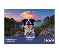 1000 Piece Border Collie Jigsaw Puzzle for Adults - Challenging Brain Teaser, Stone Forest Stream Puzzles, Decoration Unique Gift 38x26cm/1000pcs