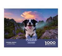 1000 Piece Border Collie Jigsaw Puzzle for Adults - Family-Friendly Brain Game, Stone Forest Stream Puzzle, Home Decoration Unique Gift 52x38cm/1000pcs