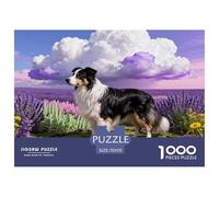 1000 Piece Border Collie Jigsaw Puzzle for Adults - Stress Relief & Relaxation, Lavender Field Jigsaws, Decoration Birthday Gifts 70x50cm/1000pcs