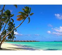 1000 Piece Challenge Jigsaw Puzzle for Adults And Kids Age 14 Years Up - Maldives tropical beach 75x50cm