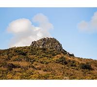 1000 Piece Challenge Jigsaw Puzzle for Adults And Kids Age 14 Years Up - Rock stone trees 75x50cm