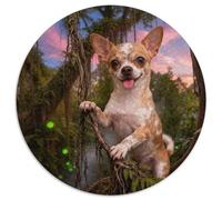 1000 Piece Chihuahua Jigsaw Puzzle for Adults & Kids - Family Game Night & Educational Fun, Rainforest Jigsaws, Home Decoration Gifts 1000pcs (67.5x67.5cm)